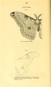 n141_w1150