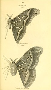 n126_w1150