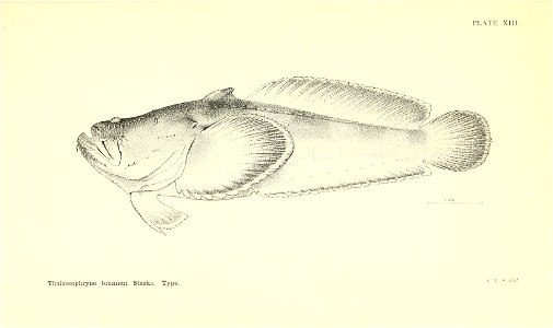 n112_w1150