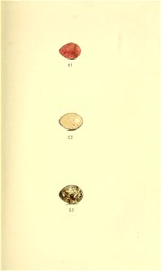 n148_w1150