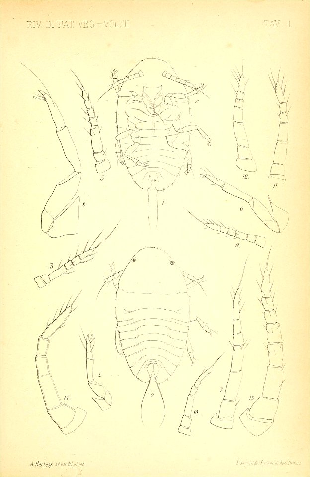 n508_w1150