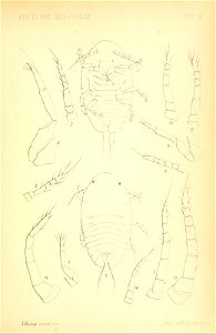 n508_w1150