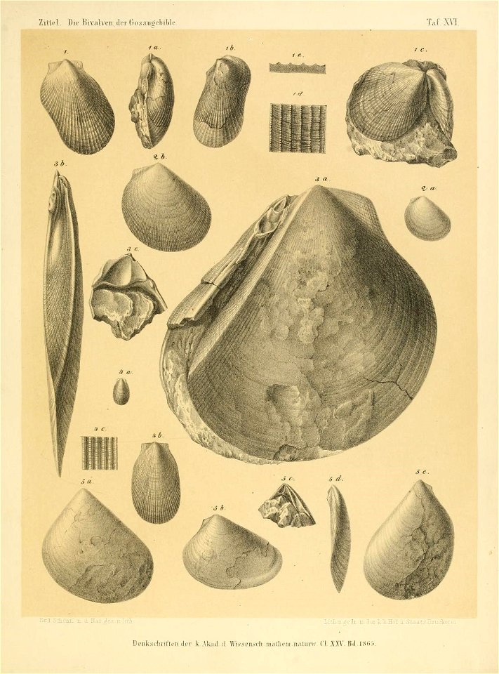 n272_w1150