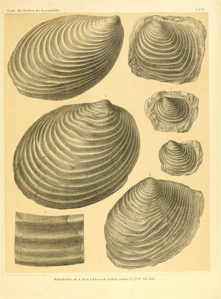 n268_w1150