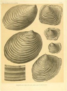 n268_w1150
