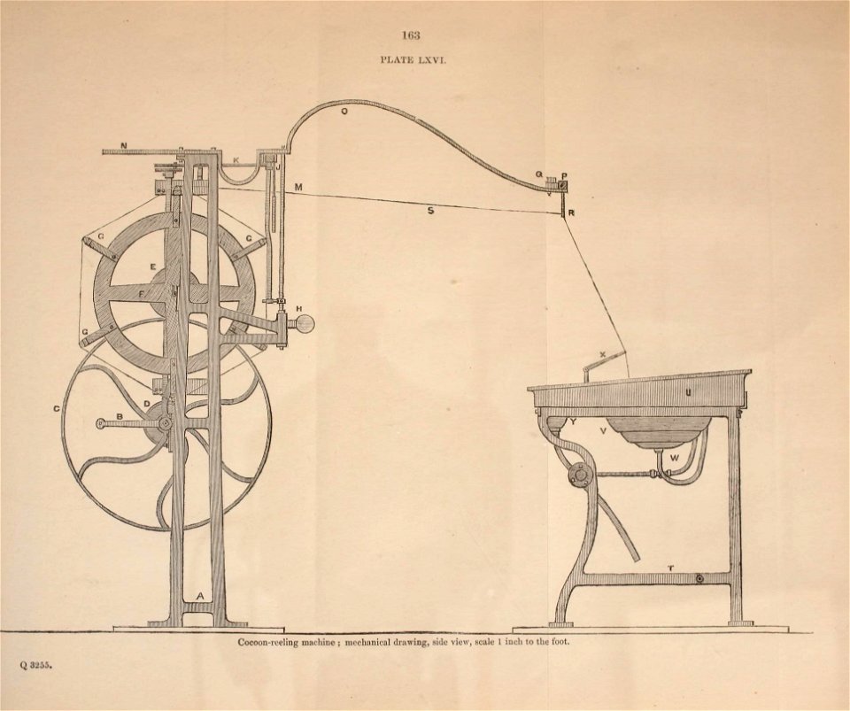 n186_w1150