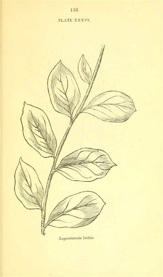 n154_w1150