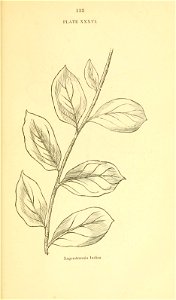 n154_w1150