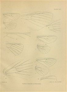 n468_w1150