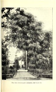 n504_w1150