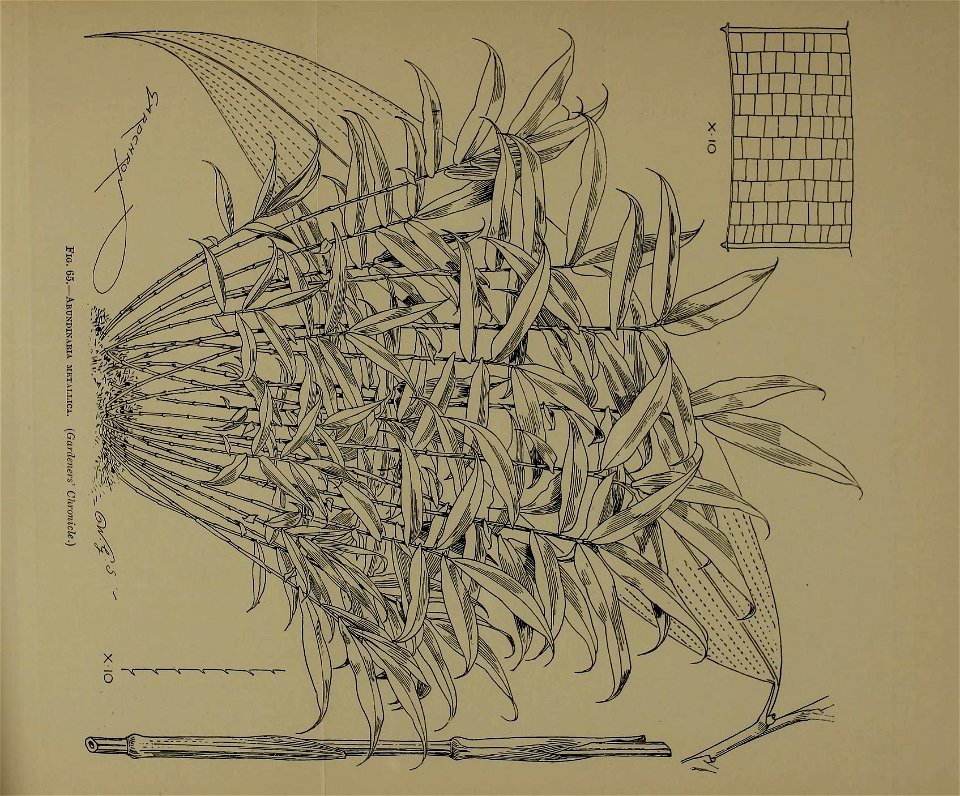 n294_w1150
