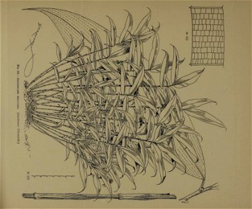 n294_w1150
