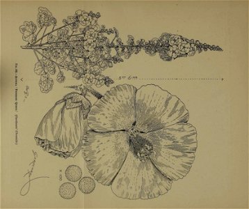 n674_w1150