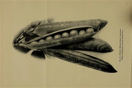 n265_w1150