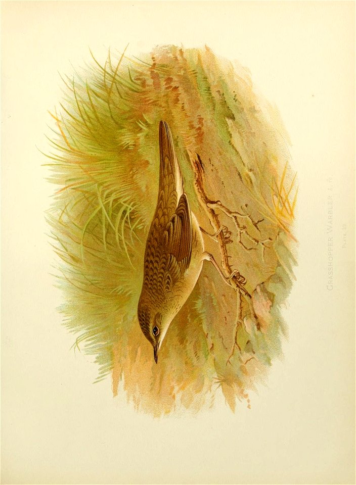 n202_w1150