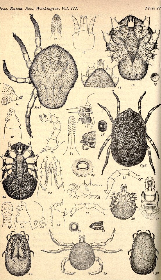 n229_w1150