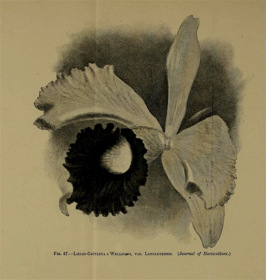 n618_w1150