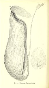 n205_w1150