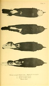 n148_w1150