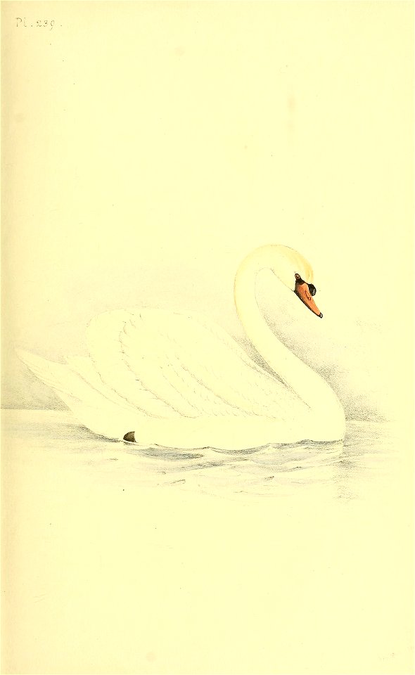 n98_w1150