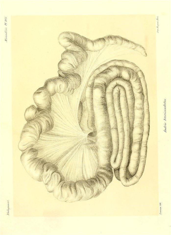 n222_w1150