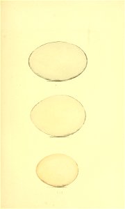 n172_w1150