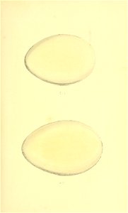 n90_w1150