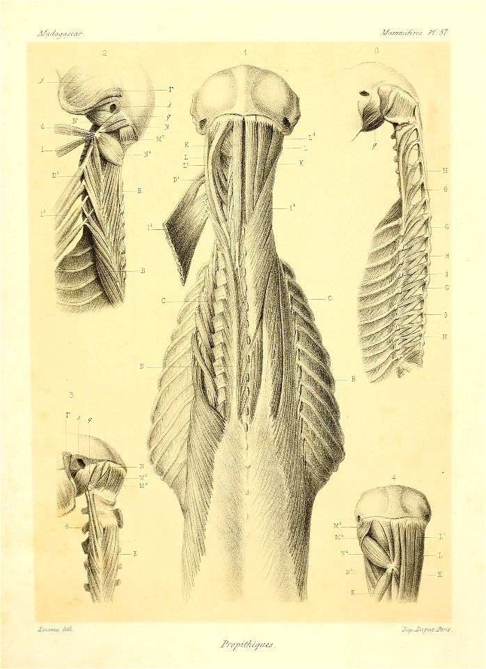 n120_w1150