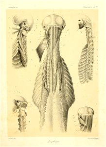 n120_w1150