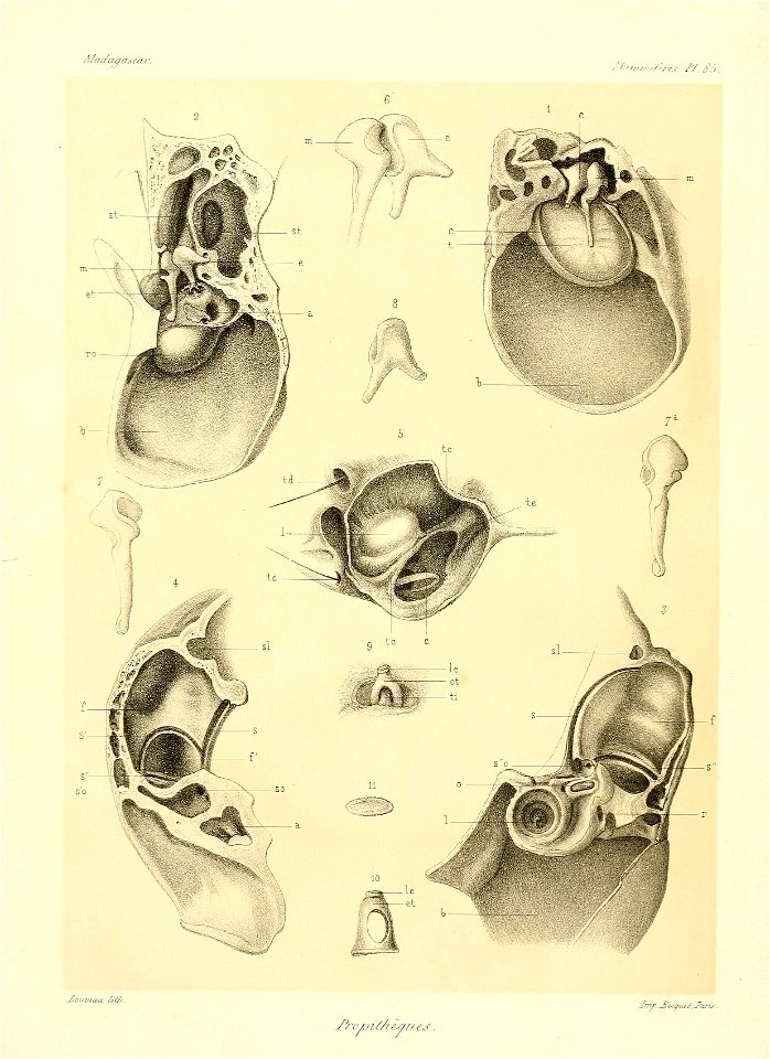 n178_w1150