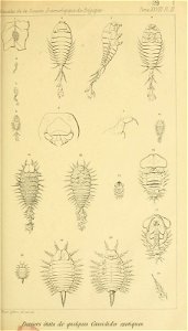 n168_w1150