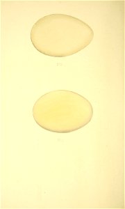 n307_w1150