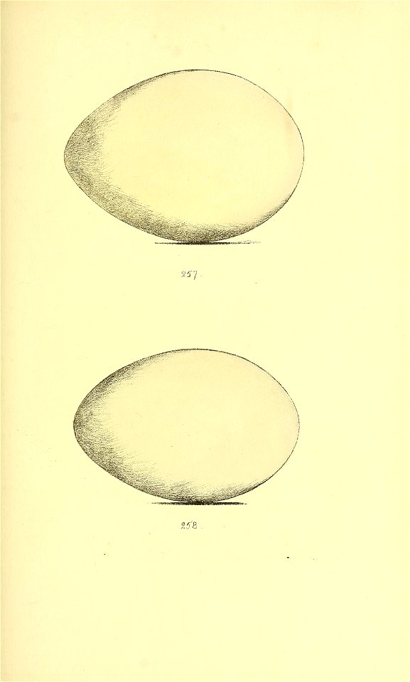n232_w1150