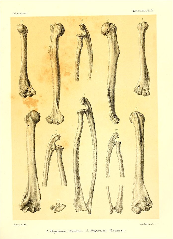 n54_w1150