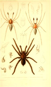 n578_w1150