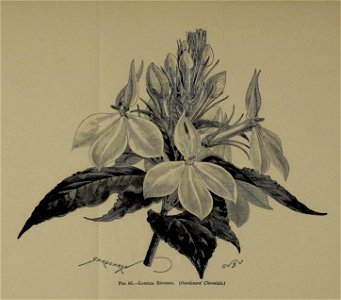 n684_w1150