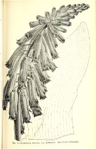 n552_w1150