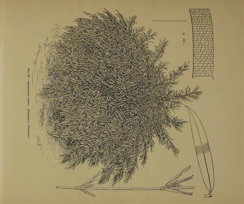n302_w1150