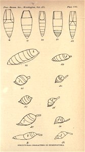 n258_w1150