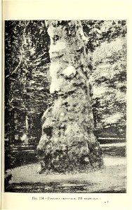 n502_w1150