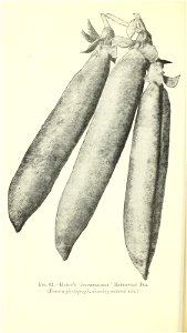 n267_w1150