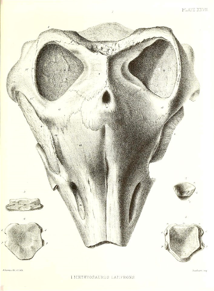 n412_w1150