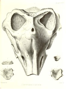 n412_w1150