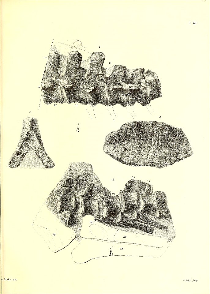 n118_w1150