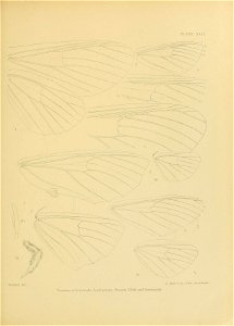 n464_w1150