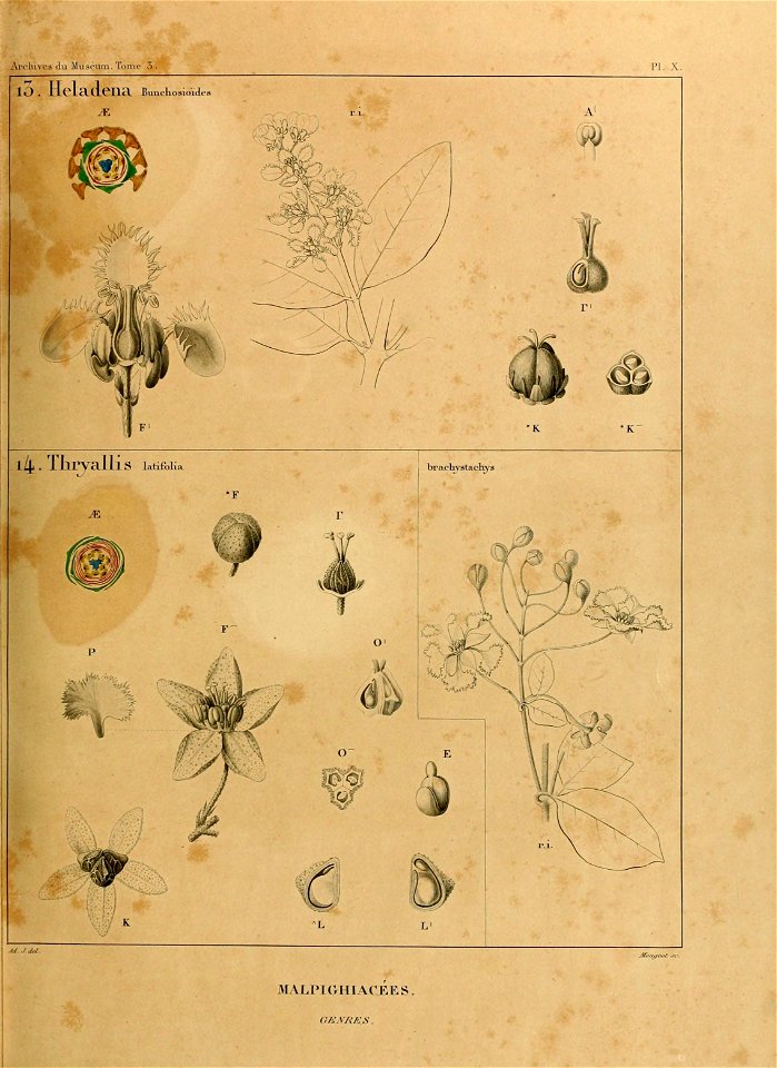 n656_w1150