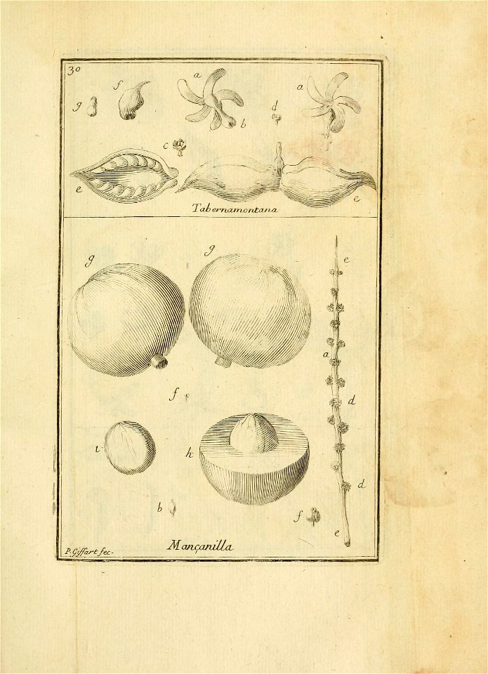 n154_w1150