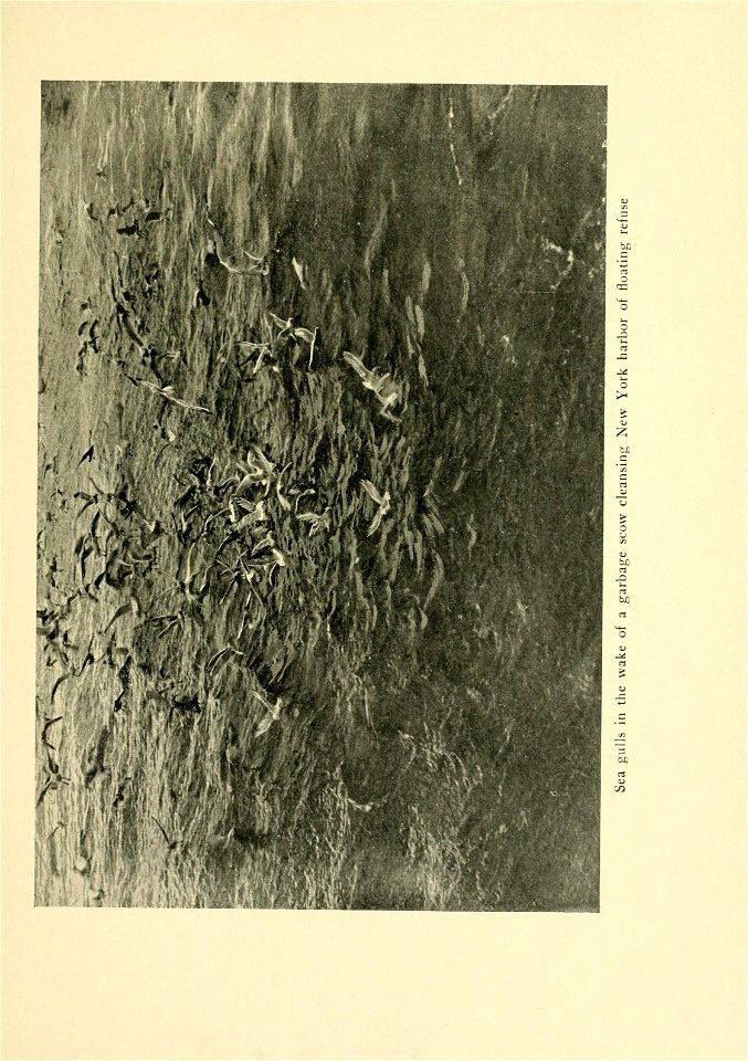 n212_w1150