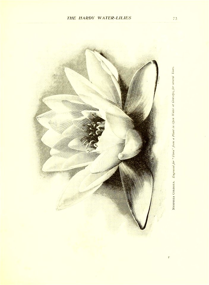 n94_w1150