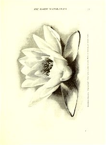 n94_w1150
